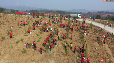 团聚青春力量 共植“共青林”！郝店镇义务植树活动绘就生态新景