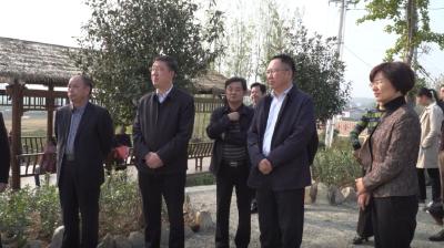 随县召开农村人居环境整治暨农村“厕所革命”现场推进会
