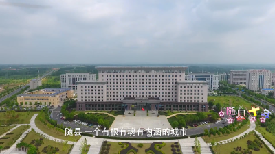 随县建县十周年专题片