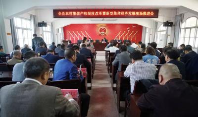 随县召开全县农村集体产权制度改革暨新型集体经济发展现场推进会