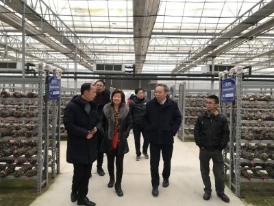 省商务厅市场体系建设处调研随县电子商务进农村国家级示范项目建设情况