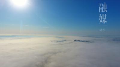 今年随县的雪景“疫”与往年《绵绵絮飘三万尺，疑是银河降人间》