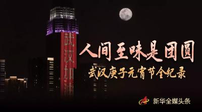 人间至味是团圆——武汉庚子元宵节全纪录