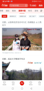 居家抗疫 不负春光！《春满随县 云上桃花节》累计阅读超190万+ 