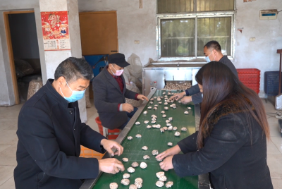【融媒在线】第十六期 《中国香菇第一村》
