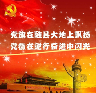 党旗在随县大地上飘扬 党徽在逆行奋进中闪光（三十九）