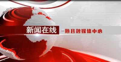 2020年5月20日随县资讯