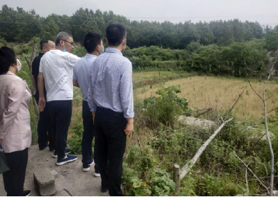 省生态环境厅领导到随县调研土壤污染防治和生态修复进展情况
