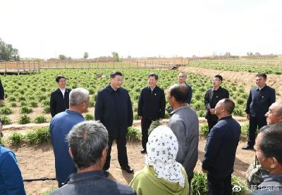 习近平：让黄花成为群众脱贫致富的“摇钱草”