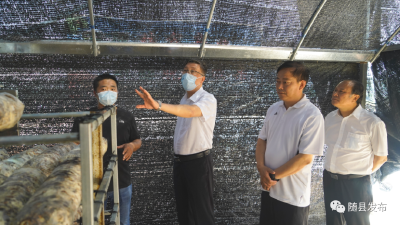 全县41个项目迎来“期中考”！陈兴旺强调：打好“三大战” 夺取“双胜利”