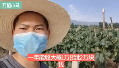 乡村产业如何发展？带您看看万和镇山头村的扶贫产业
