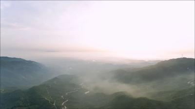 盛夏桐桥畈 怎能“莓”有你