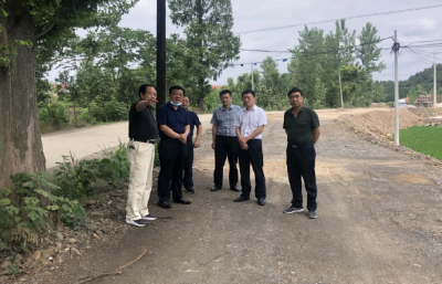 县领导到洪山镇调研公路项目建设