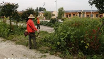 厉山公路养护中心职工为养老院清除杂草美化居住环境