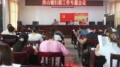 洪山镇召开妇联专题会议