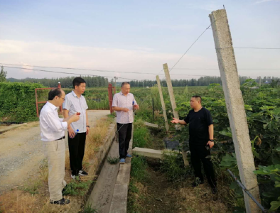 湖北省农业厅农村合作经济指导处到随县调研农村合作社受灾情况