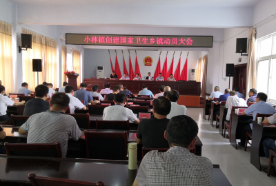 随县小林镇召开创建国家级卫生镇动员大会