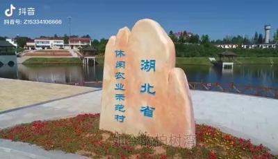 柏树湾村