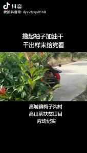 高城镇：撸起袖子加油干 干出样来给党看