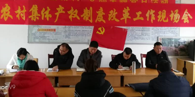 高城镇组织召开农村集体产权制度改革工作现场会