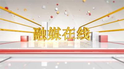 【融媒在线】第二十三期 《相约银杏村 撒一地金黄 享一缕阳光》