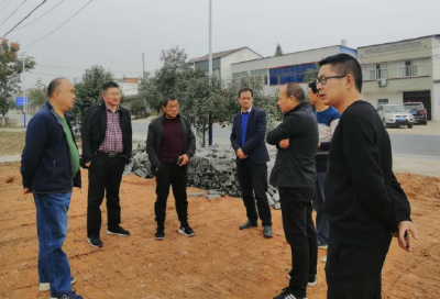 县财政局到唐县镇砂子岗村检查美丽乡村建设