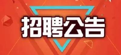 随县楚农商村镇银行2020年新员工招录公告