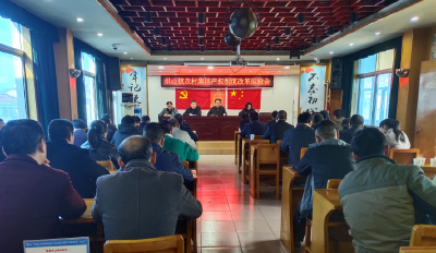 洪山镇财政所组织召开农村集体产权制度改革迎检专题会
