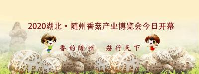 直播 | 2020湖北.随州香菇产业博览会现场