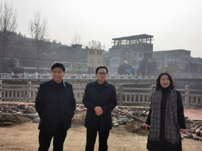 县政协领导到小林镇指导调研工作