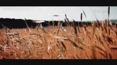 《三区三州战贫记》    三区三州战贫记水润民心