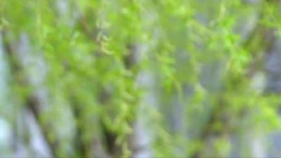 《加油脱贫攻坚》    第十四集《勤劳书记和他的法宝》
