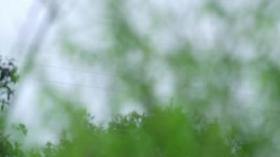 《加油脱贫攻坚》     第十八集《巧手编织脱贫梦》