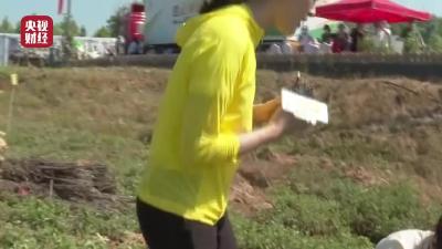 《走村直播看脱贫》     农民画作拍出13000元200多人靠田间作画脱贫致富