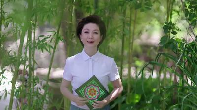 《加油脱贫攻坚》       第二十集《大山里的太阳花》