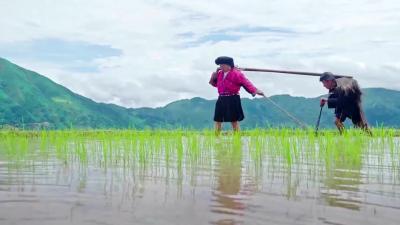 《一村一寨总关情》第一季   大湾村