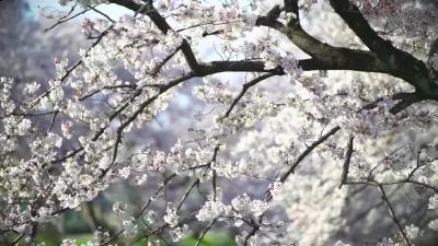 《加油脱贫攻坚》      第十三集《老周的扶贫路》