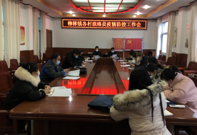 柳林镇疫情防控指挥部第二次召开各村联络员疫情防控工作会