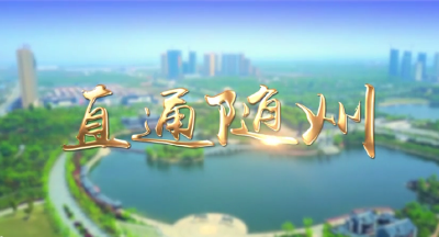 直通随州丨兰花产业“长”不大？主动求变正当时