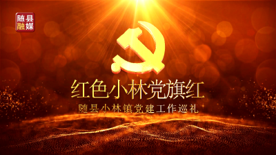 红色小林党旗红——小林镇党建工作巡礼