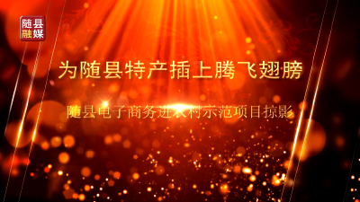 为随县特产插上腾飞的翅膀——随县电子商务进农村示范项目掠影