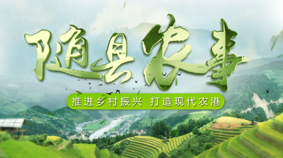 随县农事第十三期《柳林镇：农旅融合添活力  乡村振兴促致富》