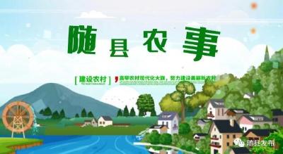 万和镇瑞鑫农场：十年坚守纯生态种养模式  新理念打造出新农场