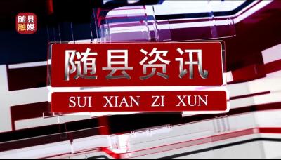 随县资讯