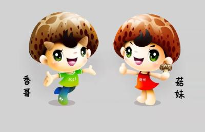 陈良说，随县未来五年发展这样干！