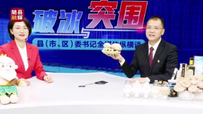 随县蓝图绘就，如何落实？