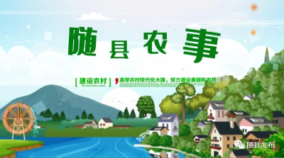 随县农事第十九期《随县塔儿山菌业种植专业合作社：吸纳人才促发展 帮助村民共致富》