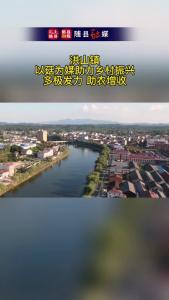 以菇为媒助力乡村振兴
