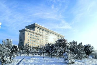 那年，县城有雪