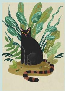 黑猫